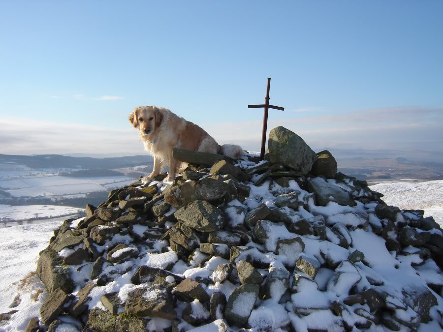 Walk Report Bad Blood And A Shroud Of Ill feeling On Turin Hill Walkhighlands
